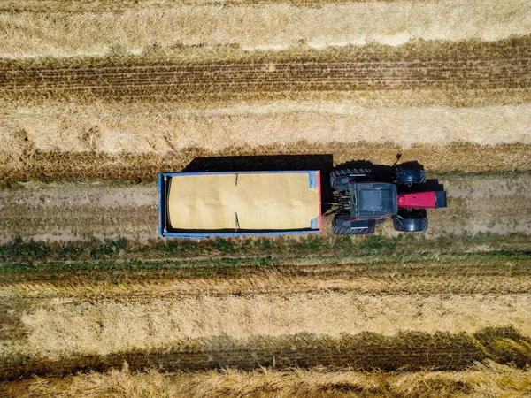 Oogsttafereel Het Italiaanse Platteland — Stockfoto