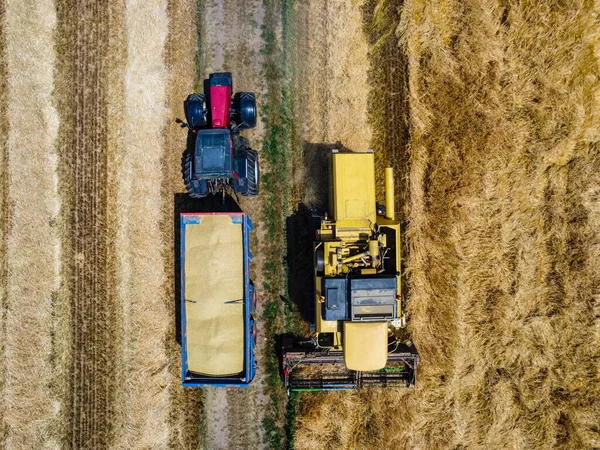 Сцена Сбора Урожая Итальянской Сельской Местности — стоковое фото