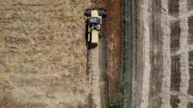 İtalya kırsalında hasat sahnesi