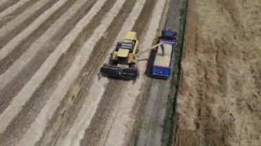 İtalya kırsalında hasat sahnesi