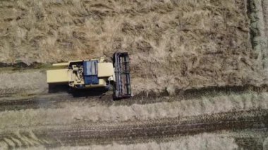 İtalya kırsalında hasat sahnesi