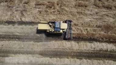 İtalya kırsalında hasat sahnesi