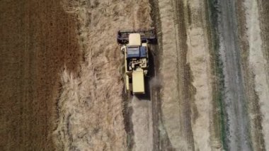 İtalya kırsalında hasat sahnesi