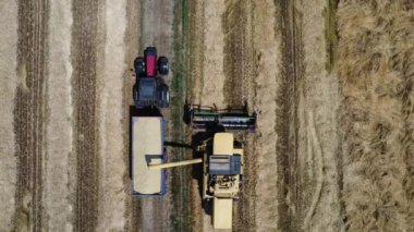 İtalya kırsalında hasat sahnesi