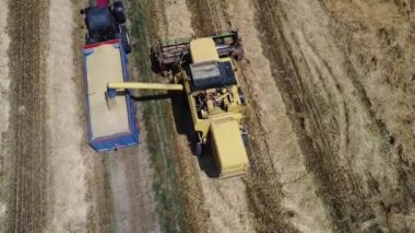 İtalya kırsalında hasat sahnesi