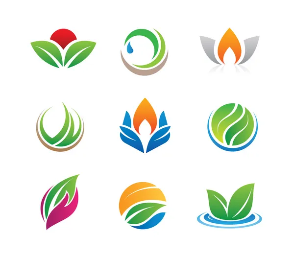 Yeşil Kraliyet doğa ve gıda meyve güzellik daire Eko Dostu percon ve iş firma için