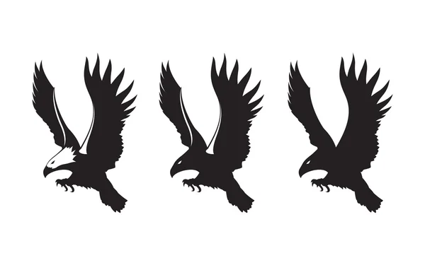 Águila negra fuerte en el ataque aéreo — Vector de stock