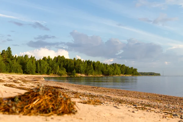 Summer quiet beach — Stock Photo, Image