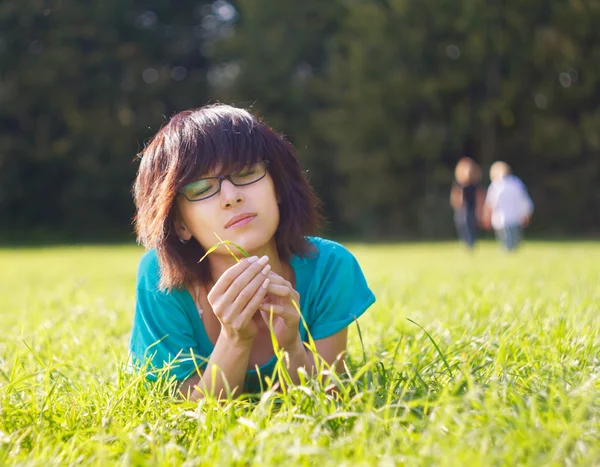 Ruhe auf einer Sommerwiese — Stockfoto