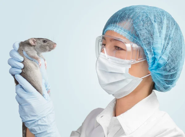 Veterinarian with the animal — Stock Photo, Image