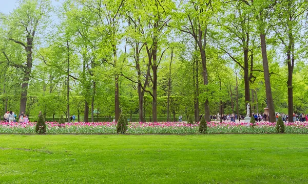 Caminhada de tulipas — Fotografia de Stock