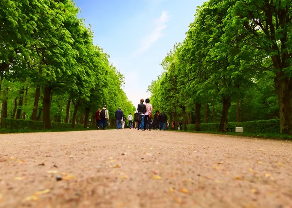 Touristen auf Reisen — Stockfoto