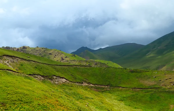 Yeşil tepeler — Stok fotoğraf