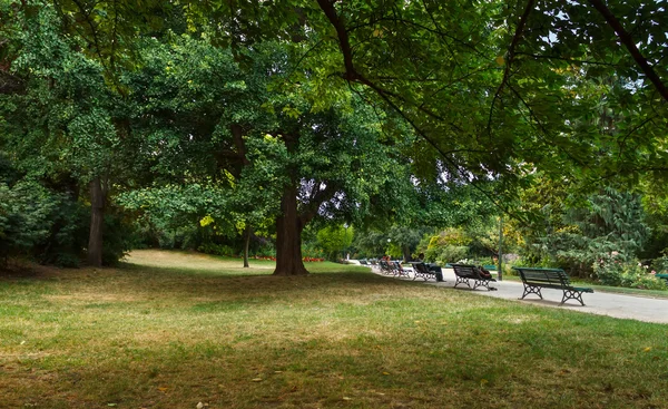 Garden in the park — Stock Photo, Image