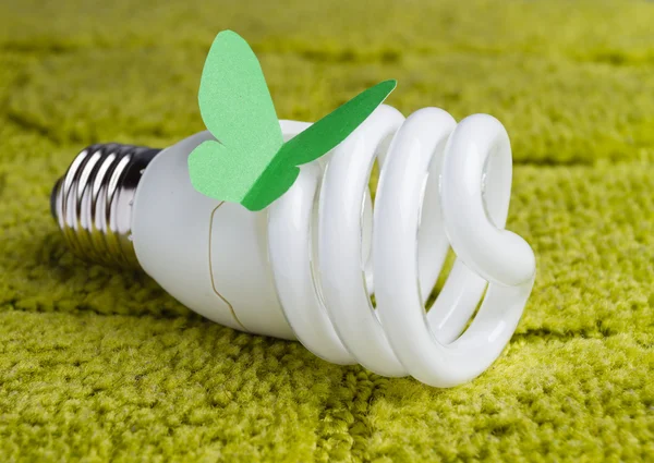Żarówka energooszczędna na zielonym tle — Zdjęcie stockowe