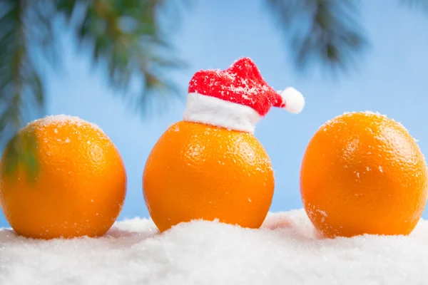 Laranjas e ramo da árvore de Natal — Fotografia de Stock