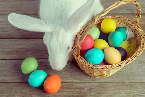 Conejito de Pascua blanco con cesta — Foto de Stock