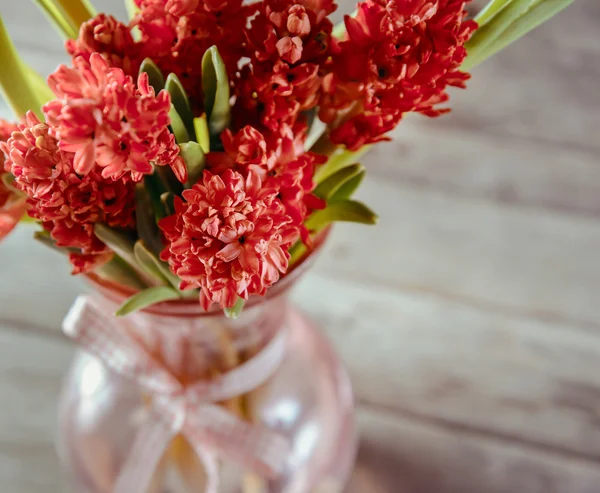 Hyacinths in a vase — Stock Photo, Image