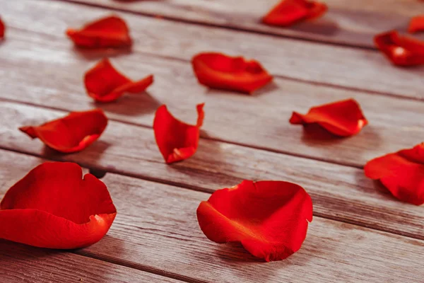 Rood roze bloemblaadjes op een tafel — Stockfoto