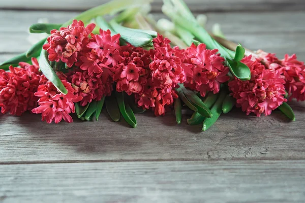 Ramo de jacintos rojos sobre una mesa de madera — Foto de Stock