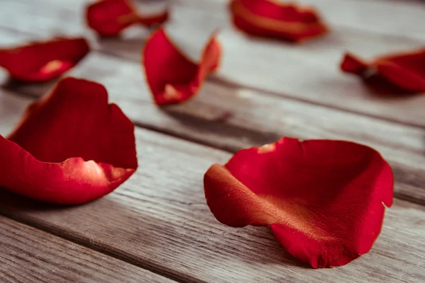 Close-up beeld van rood roze bloemblaadjes — Stockfoto