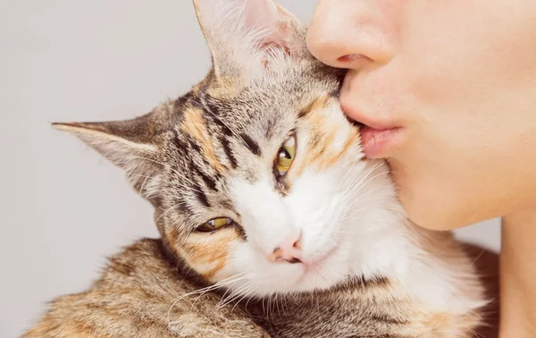 Frau küsst eine Katze — Stockfoto