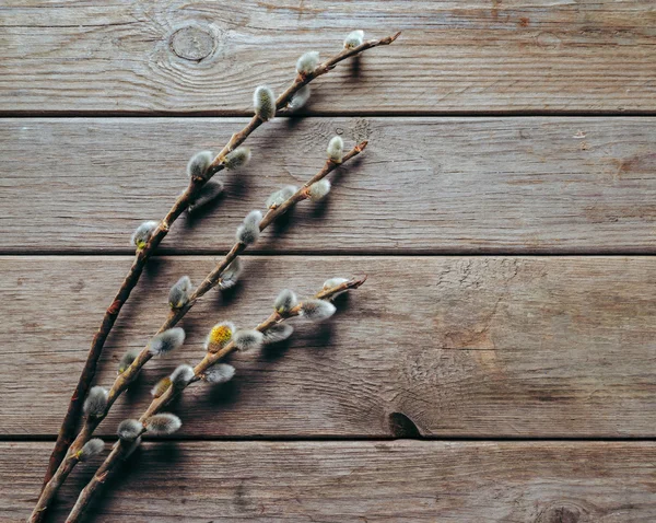 Cabang willow pada meja kayu — Stok Foto