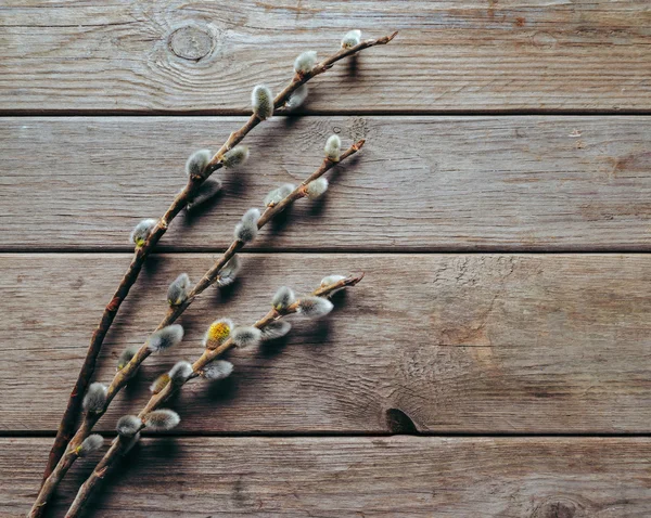 Weidenzweige auf einem Holztisch — Stockfoto