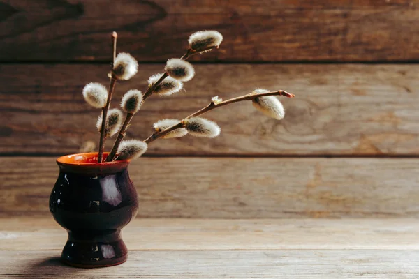 Spring willow branches — Stock Photo, Image