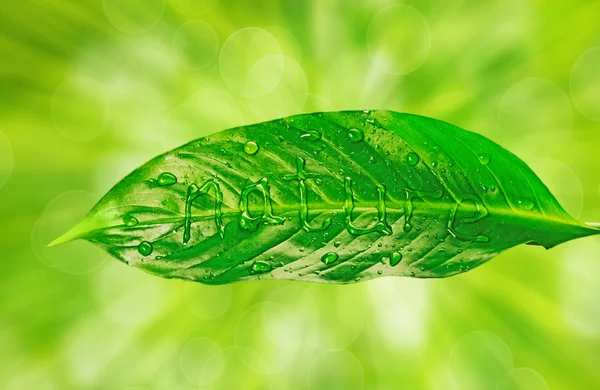 Φύση είναι γραμμένο σε πράσινο φύλλο — Φωτογραφία Αρχείου