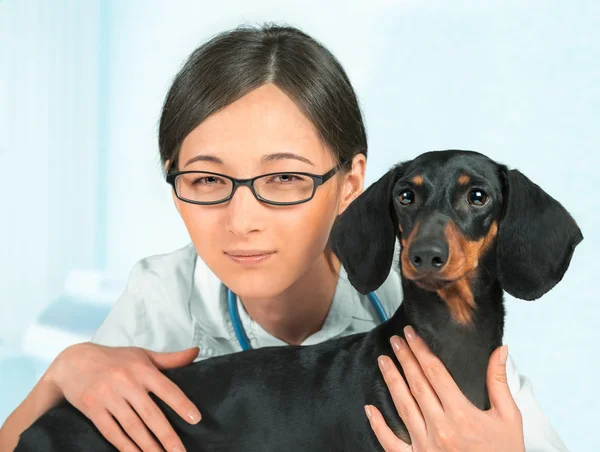 Mujer veterinaria con perro — Foto de Stock