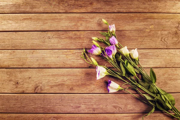 Blauwe bloemen klokken — Stockfoto