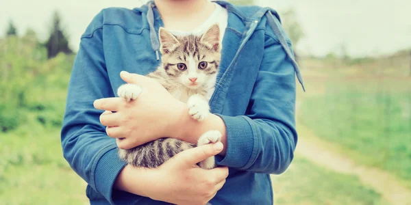 Chica sostiene gatito — Foto de Stock