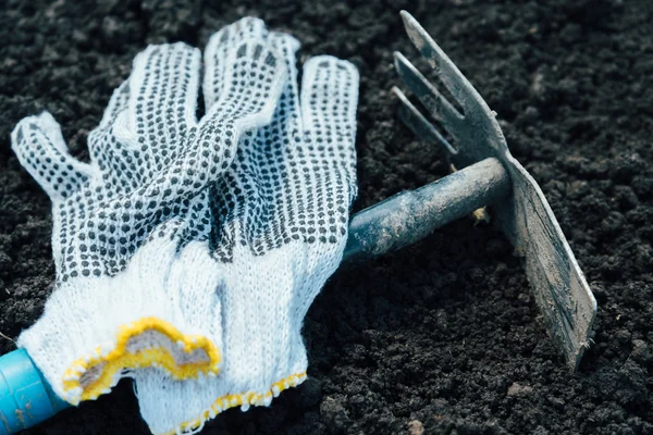 Gardening tools — Stock Photo, Image