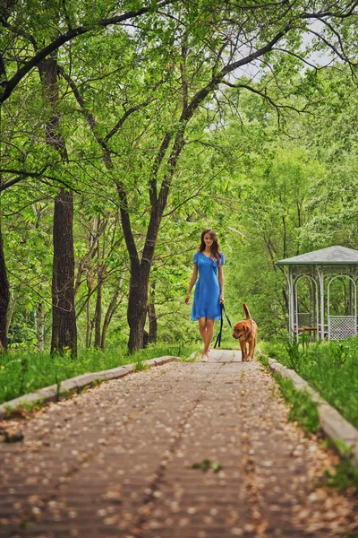 Vrouw wandelingen met hond — Stockfoto