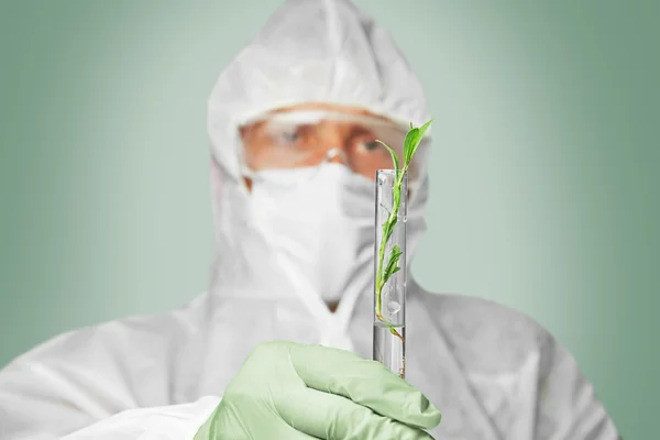 Wetenschapper houdt kolf met groene plant — Stockfoto