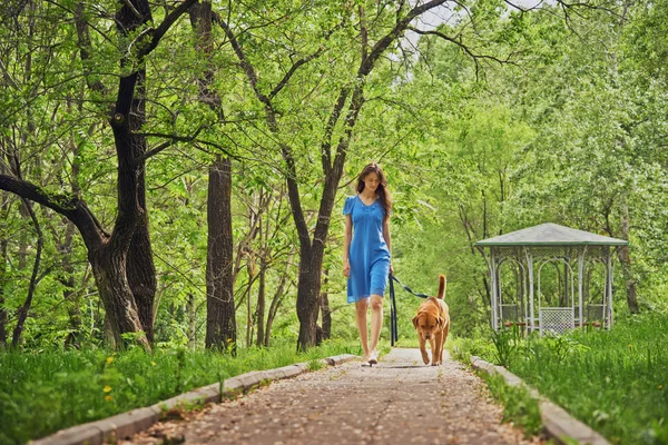 Дівчина гуляє з собакою — стокове фото
