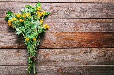 kırlangıçotu demet