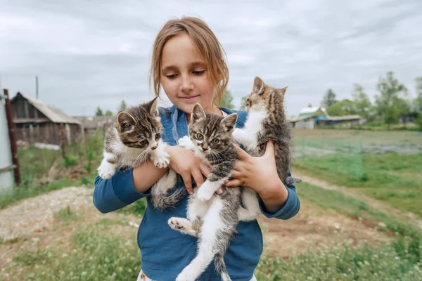 Улыбающаяся маленькая девочка держит котят летом — стоковое фото