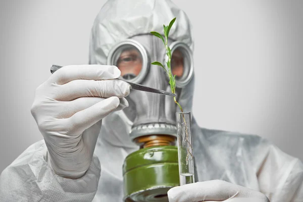 Wissenschaftler steckt grüne Pflanze in Fläschchen — Stockfoto