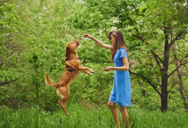 Женщина играет с собакой — стоковое фото