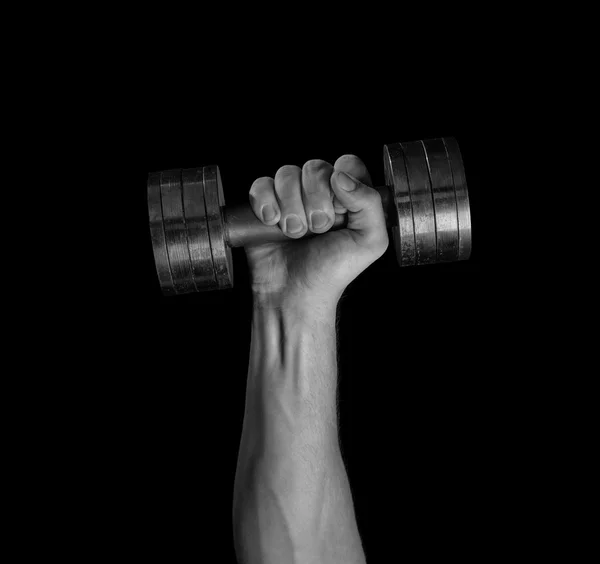 Hand met metalen dumbbell — Stockfoto