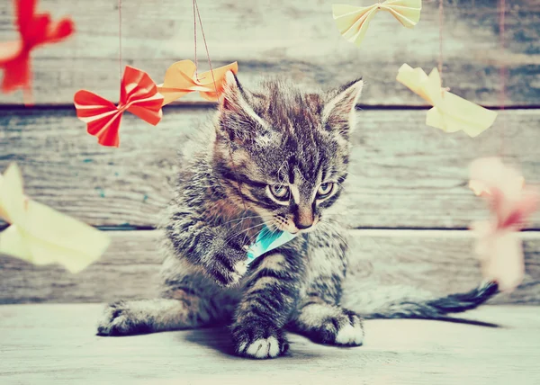 Kitten is playing with paper cranes — Stock Photo, Image