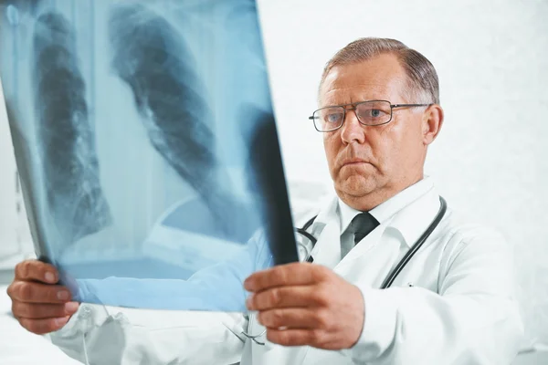 Older doctor examines x-ray image of lungs Stock Image