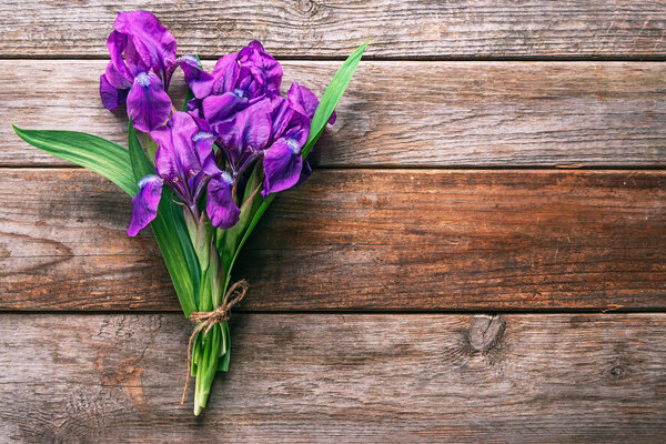 Purple irises flowers