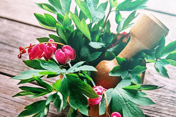 피흐르는 심장의 꽃 — 스톡 사진