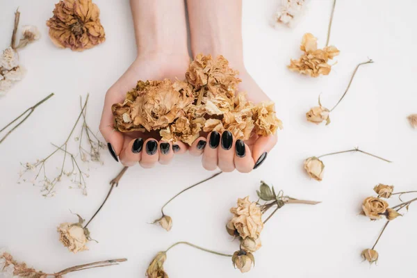 Vista superior de la manicura negra en las manos femeninas. Una mujer sostiene flores secas en sus manos. —  Fotos de Stock