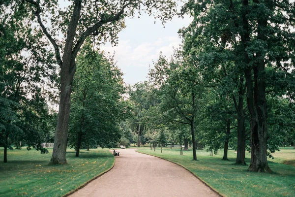 Ścieżka wśród drzew w lecie w Alexandria Park. — Zdjęcie stockowe