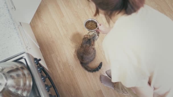 La donna mette una ciotola di cibo secco al gatto. — Video Stock