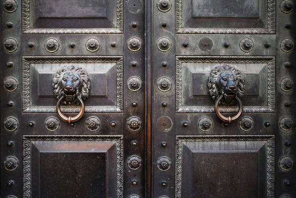 Door handle in the shape of a lions head on a vintage door. Close-up. — Stock Photo, Image